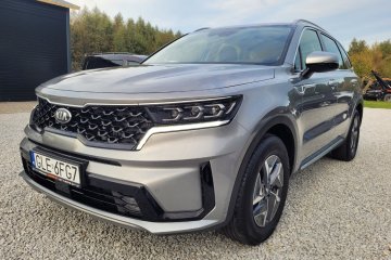 Polski Salon - HEV - Raty - Leasing